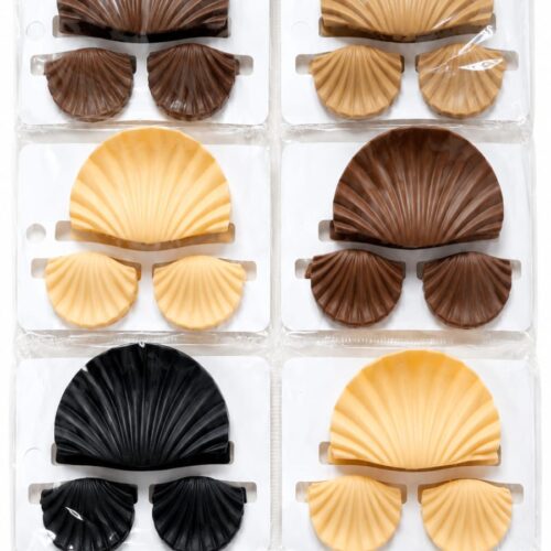 seashell hair clip set
